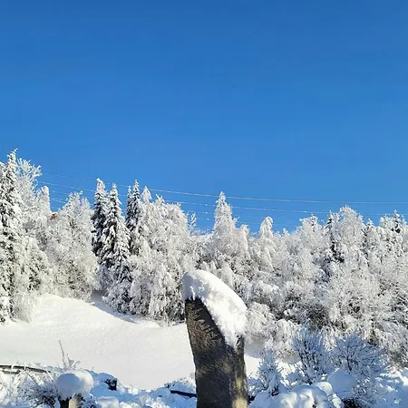 公寓 In Neukirchen With A Balcony