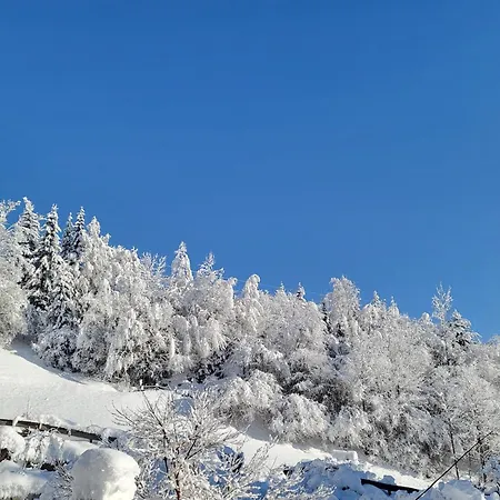 In Neukirchen With A Balcony Neukirchen am Großvenediger