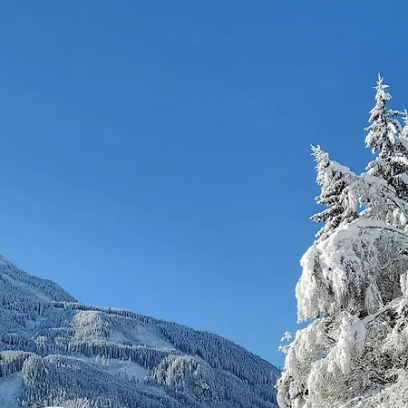 公寓 In Neukirchen With A Balcony *