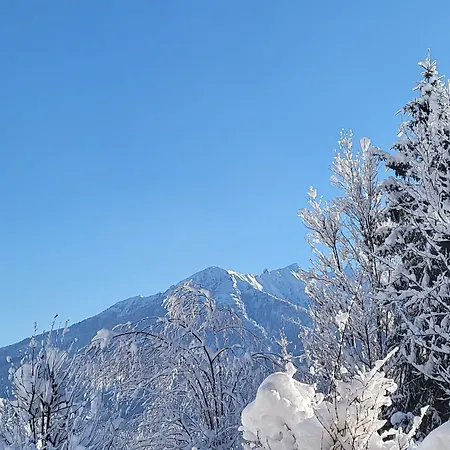 In Neukirchen With A Balcony