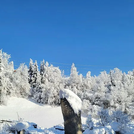 In Neukirchen With A Balcony Нойкирхен-ам-Гросфенедигер