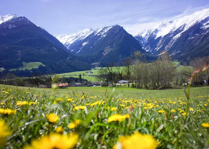 In Neukirchen With A Balcony
