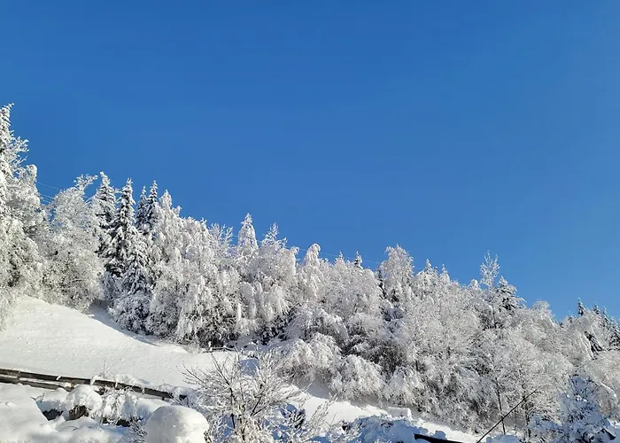 In Neukirchen With A Balcony Neukirchen am Großvenediger