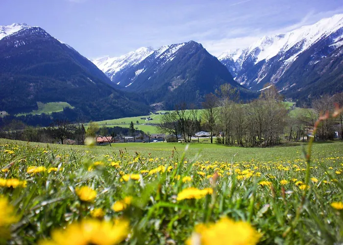 In Neukirchen With A Balcony Lejlighed